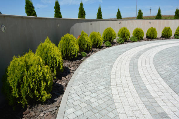 Best Local Driveway Pavers  in Horse Shoe, NC